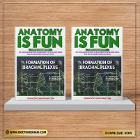 Anatomy is fun part 1 + part 2 (2023) (Original PDF from Publisher)