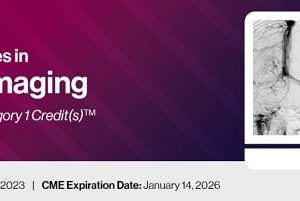 2023 Classic Lectures in Stroke Imaging – DocMedEd (Videos)