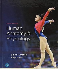 Human Anatomy & Physiology, 11th Edition (Original PDF from Publisher)