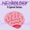 The Complete Guide to: Neurology (APKG)