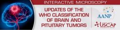 Updates of the WHO Classification of Brain and Pituitary Tumors 2024 – USCAP (Videos)