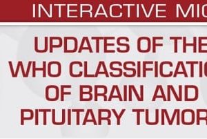 Updates of the WHO Classification of Brain and Pituitary Tumors 2024 – USCAP (Videos)