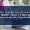 The Vascular Education and Self-Assessment Program (VESAP6) 2024 (Quiz with Answers)
