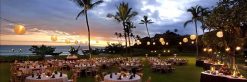 Dermatopathology in Paradise New Adnexal, Melanocytic and Soft Tissue Tumors, Cutaneous Lymphomas and More 2025 (Videos)