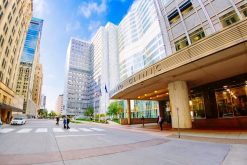 28th Annual Internal Medicine Board Review 2019 (Mayo Clinic Internal Medicine Board Review (IMBR)) (Videos)