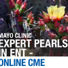 Mayo Clinic Expert Pearls in ENT: Full Course 2020 (Videos)