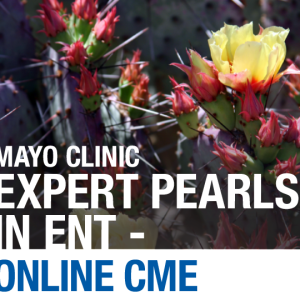 Mayo Clinic Expert Pearls in ENT: Full Course 2020 (Videos)