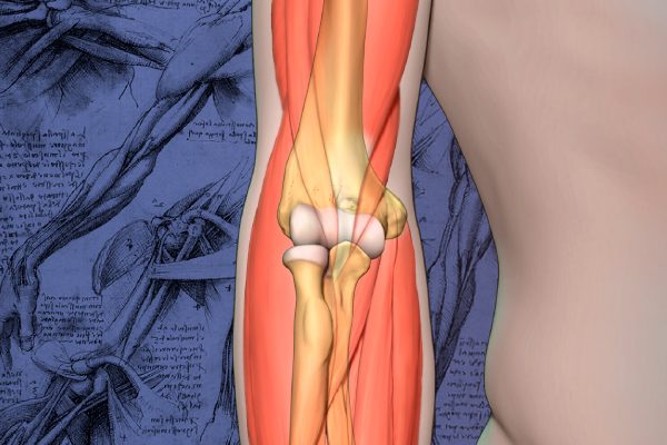 2020 Mayo Clinic Teach the Teachers Elbow Course – Forging the Future (Videos)