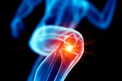 Mayo Clinic Comprehensive Sports Medicine Update and Board Review 2021 (Videos)