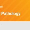Classic Lectures in Pathology: What You Need to Know: Genitourinary 2022 (Videos)