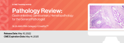 Pathology Review: Gastrointestinal, Genitourinary and Hematopathology for the General Pathologist 2022 (Videos)