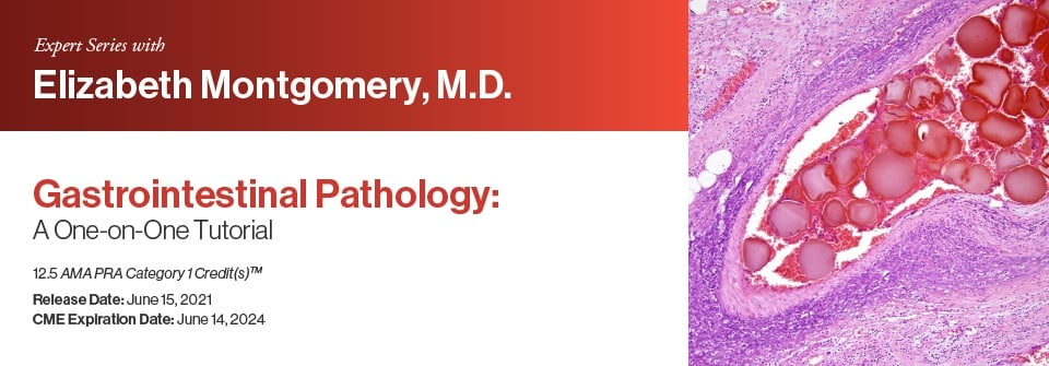 Expert Series with Elizabeth Montgomery, M.D.: Gastrointestinal Pathology: A One-On-One Tutorial 2021 (Videos)