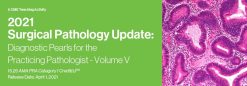 2021 Surgical Pathology Update: Diagnostic Pearls for the Practicing Pathologist – Volume V (Videos)