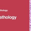 2021 Classic Lectures in Pathology: What You Need to Know: Soft Tissue Pathology (Videos)