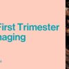 2021 Advances in First Trimester Ultrasound Imaging (Videos)