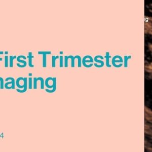 2021 Advances in First Trimester Ultrasound Imaging (Videos)