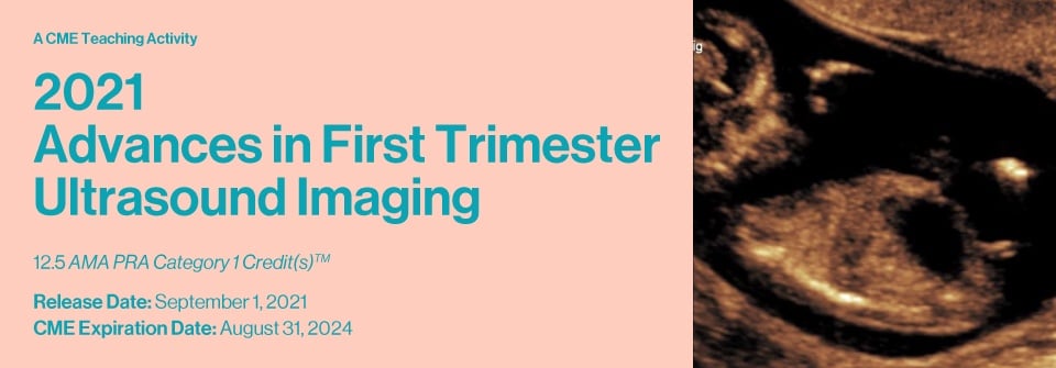 2021 Advances in First Trimester Ultrasound Imaging (Videos)