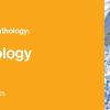Classic Lectures in Pathology: What You Need to Know: Hematopathology 2022 (Videos)