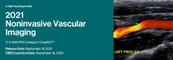 2021 Noninvasive Vascular Imaging (Videos)