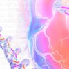 Echo Alaska Frontiers of Multimodality Imaging Including Echo, Cardiac CT and MRI 2023 – MayoClinic (Videos)