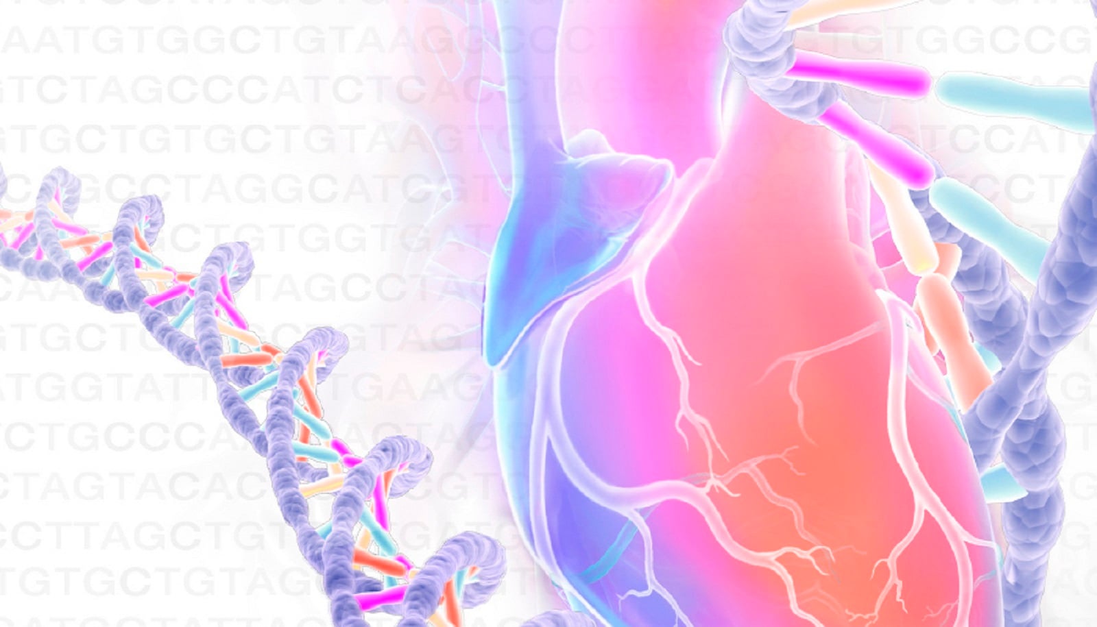 Echo Alaska Frontiers of Multimodality Imaging Including Echo, Cardiac CT and MRI 2023 – MayoClinic (Videos)
