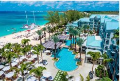 Neurology in Clinical Practice 2023 – Cayman Islands, July 13-15 2023 – Mayo Clinic (Videos + Slides + Quiz)