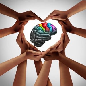 Neurology in Clinical Practice Online Course 2023 (Videos + Slides + Quiz)