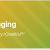2024 PET/CT Imaging – DocmedED (Videos)