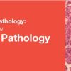 Classic Lectures in Pathology: What You Need to Know: Gynecologic Pathology 2018 (Videos)