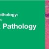 Classic Lectures in Pathology: What You Need to Know: Head and Neck Pathology 2019 (Videos)