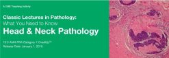 Classic Lectures in Pathology: What You Need to Know: Head and Neck Pathology 2019 (Videos)