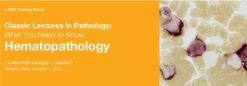 Classic Lectures in Pathology: What You Need to Know: Hematopathology 2019 (Videos)