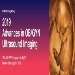 2019 Advances in OBGYN Ultrasound Imaging (Videos)