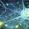 Harvard Neurology for the Non-Neurologist 2022 (Videos)