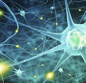Harvard Neurology for the Non-Neurologist 2022 (Videos)
