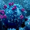 2022 Hematology and Medical Oncology Board Review (Videos)