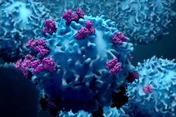 2022 Hematology and Medical Oncology Board Review (Videos)