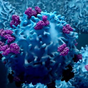 2022 Hematology and Medical Oncology Board Review (Videos)