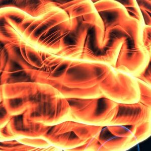 Harvard Neurology for the Non-Neurologist 2023 (Videos)