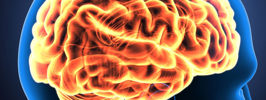 Harvard Neurology for the Non-Neurologist 2023 (Videos)