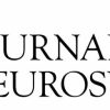 Journal of Neurosurgery 2025 Archives (True PDF)
