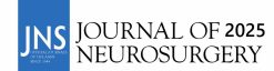 Journal of Neurosurgery 2025 Archives (True PDF)