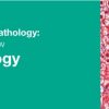 Classic Lectures in Pathology: What You Need to Know: Liver Pathology 2018 (Videos)