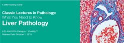 Classic Lectures in Pathology: What You Need to Know: Liver Pathology 2018 (Videos)