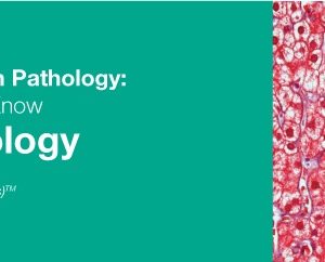 Classic Lectures in Pathology: What You Need to Know: Liver Pathology 2018 (Videos)