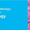 Classic Lectures in Pathology: What You Need to Know: Lung Pathology 2018 (Videos)