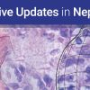 Harvard Comprehensive Updates in Nephrology 2026 (Videos + PDFs)