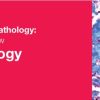 Classic Lectures in Pathology: What You Need to Know: Neuropathology 2018 (Videos)