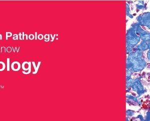 Classic Lectures in Pathology: What You Need to Know: Neuropathology 2018 (Videos)