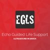 ECHO-Guided Life Support Using ultrasound to categorise shock and guide initial management (Videos)